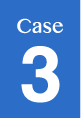 case3